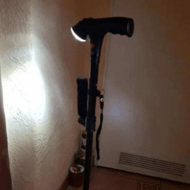 Hilipert StandSmuz Cane users ~George T.